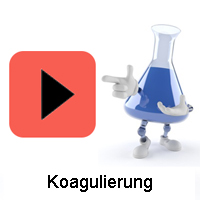 Koagulierung